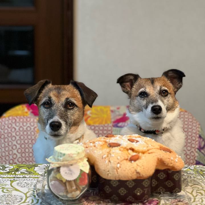 04773ce3 e0de 46b2 abdf ae7e4cc03fb0 1745145402611