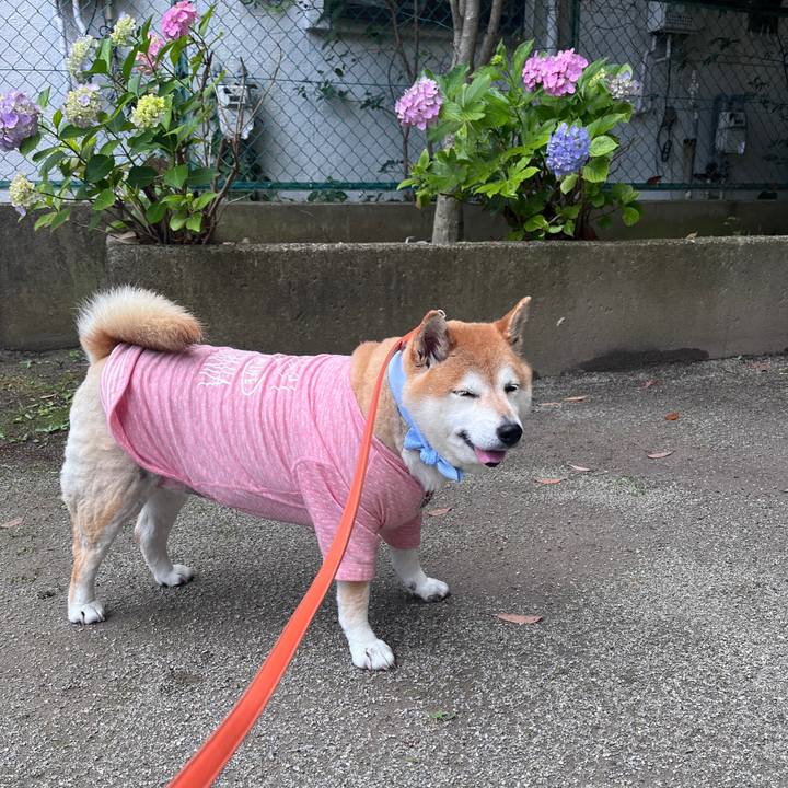 0477cf92 60ad 4975 8baf e54f7994cb66 1717465405212