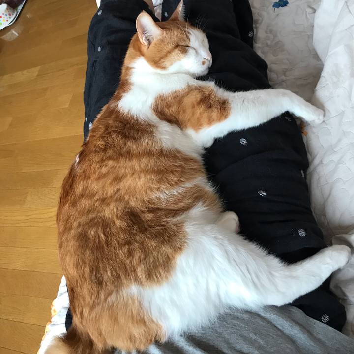 0477d3ee 7109 4b33 a04b 98dd010d199d 1595632377836