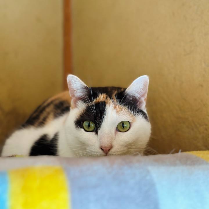 0477ea1f 03f5 4bf8 ad22 bdc2039205af 1677719829351