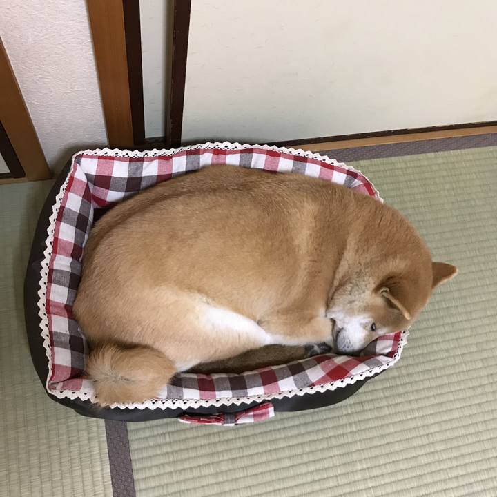 04782764 de3c 4b81 9b63 7c9cbcca24b4 1524222573006