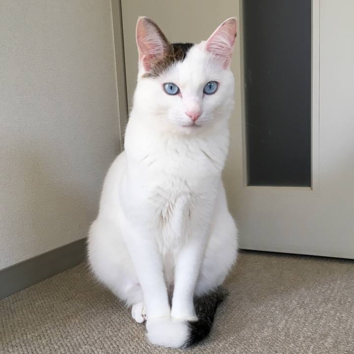 04783995 17f4 436f bc6f c405082e7096 1520414867545