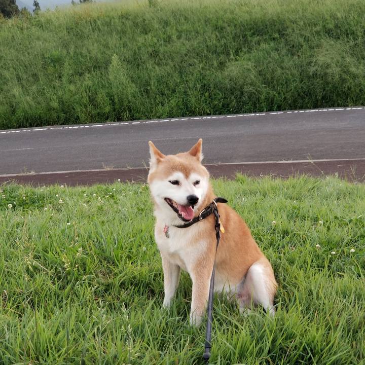 04783efd 1a2a 41b0 9563 edc19802f5fe 1597311181546