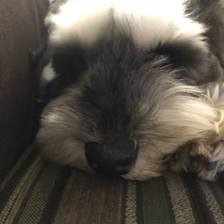 04783f0b 9c19 49da 8945 acd0a79b9675 1523769740712