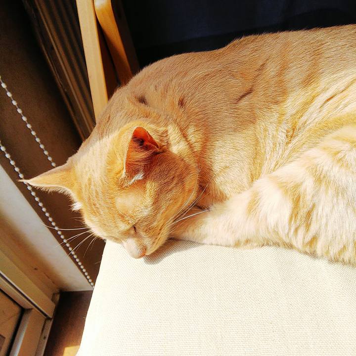 04785182 80b9 47a6 91b1 5b0239bf34ae 1588305914296