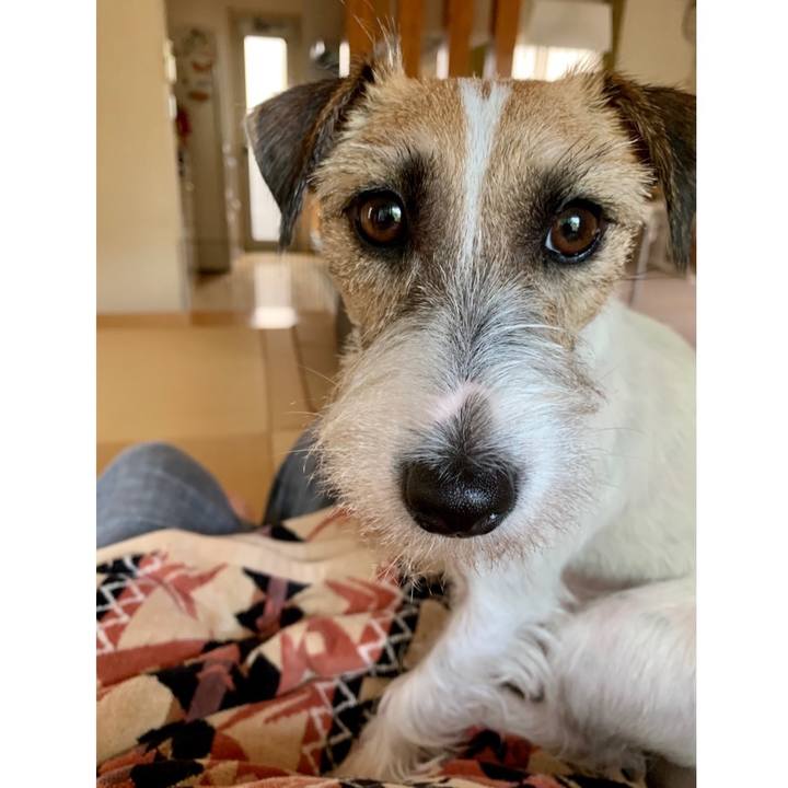 047858e2 214f 45ce 8fc3 a43d6a7f63b0 1602568990981