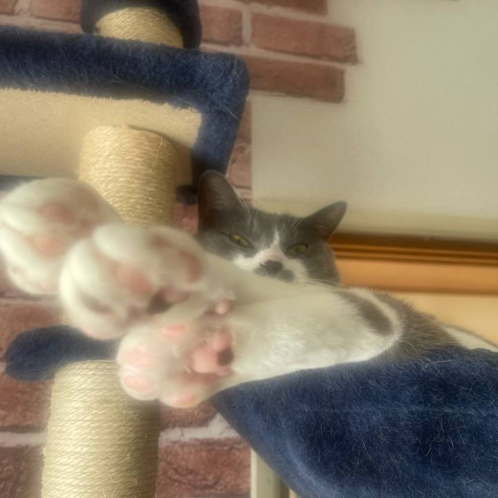 0478c60c 2859 48fd a680 5addad0c1109 1639096322784