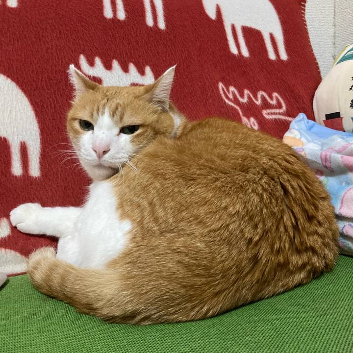 0478e13e a5af 4dfd 98e2 f0dff0c65c58 1762783526174