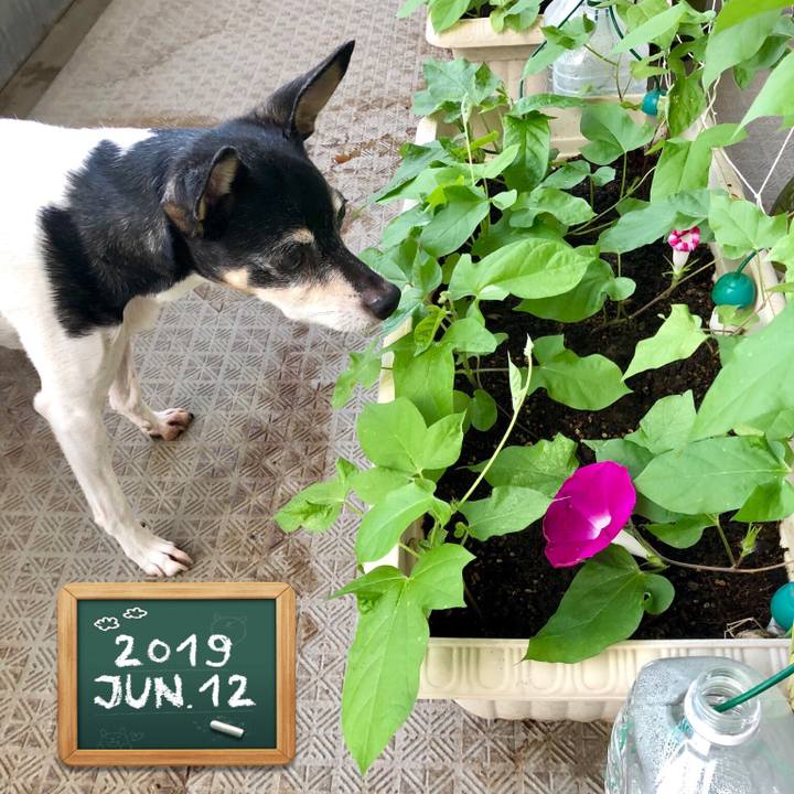 0478f6de fa61 498e 97b7 0ae158e4e86d 1560287654004