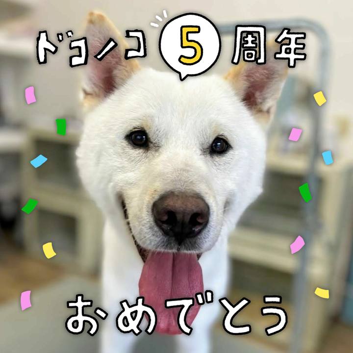 0479159f ede1 4778 b261 9d5baf8b14e5 1622866415872