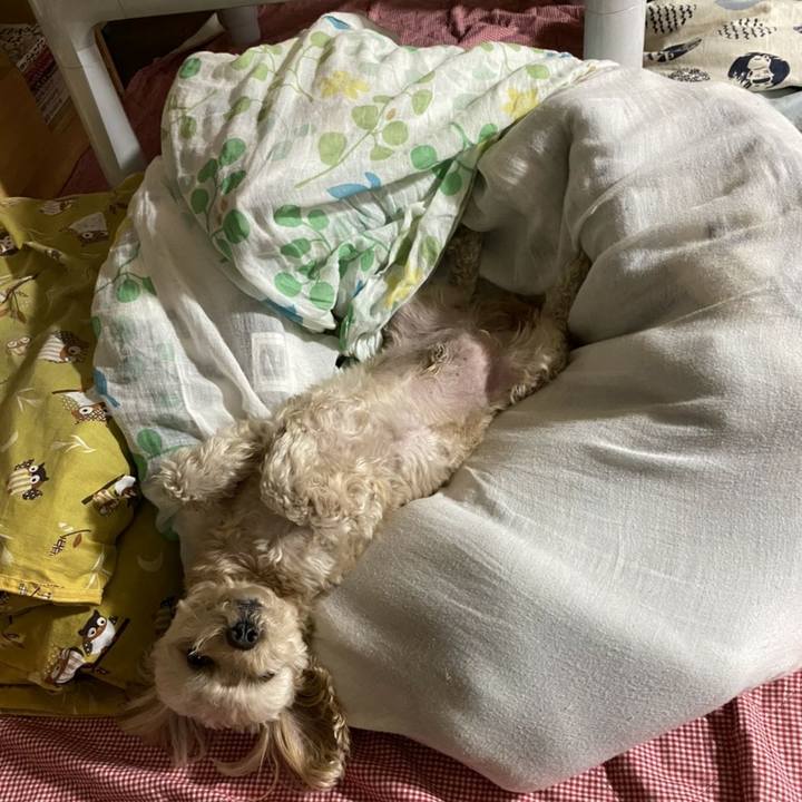 047967e5 d4f0 4bf5 8051 bc68c2e32740 1603887168016