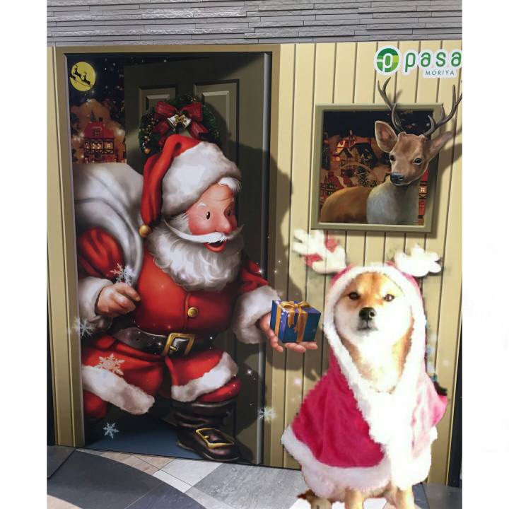 04797f66 b72b 4240 ab1c 70cd3bee6449 1514103085837