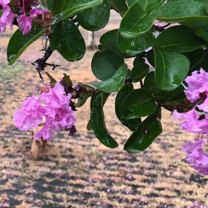 04798e2a fa09 4ed4 aa5a b14db78c42ca 1568721056203