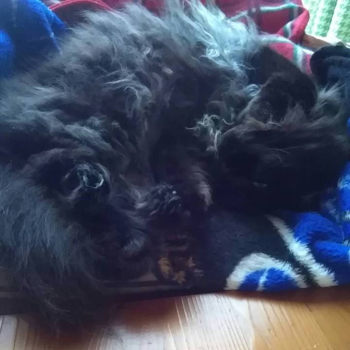 04798e38 2932 49fb 8c83 43926f55b323 1509097071581