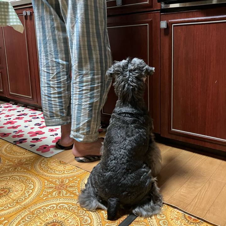 047991e6 8906 47ac 955a 814d7dbb3c09 1721259619807