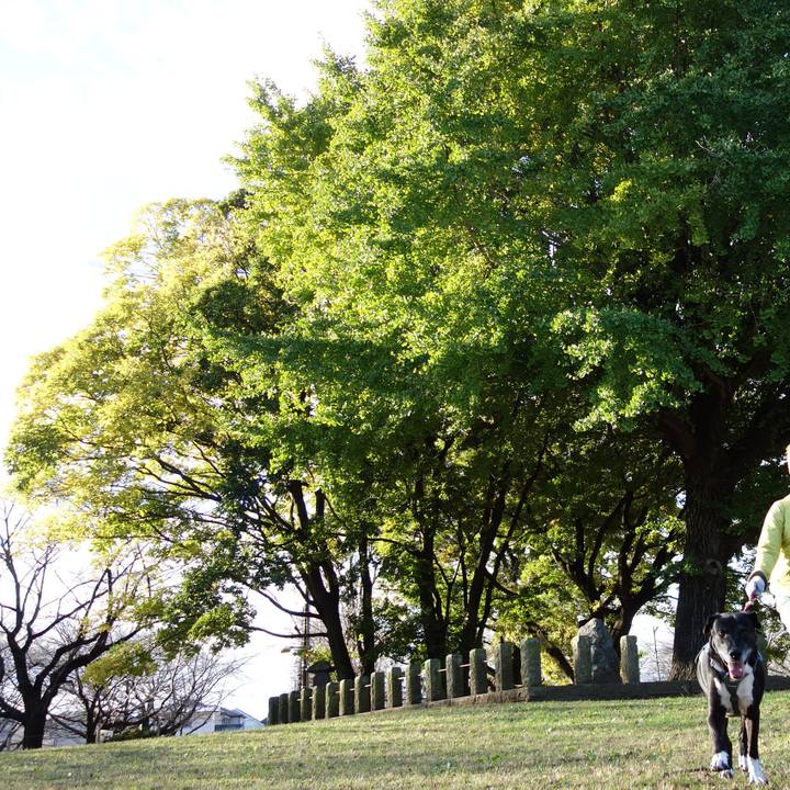 04799887 e4f8 4348 af57 dddbf5de2c30 1732409681740