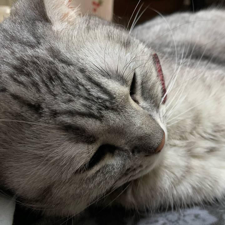 0479dc3e cdfb 41f6 a9aa ea1d240f0fc2 1589589368320