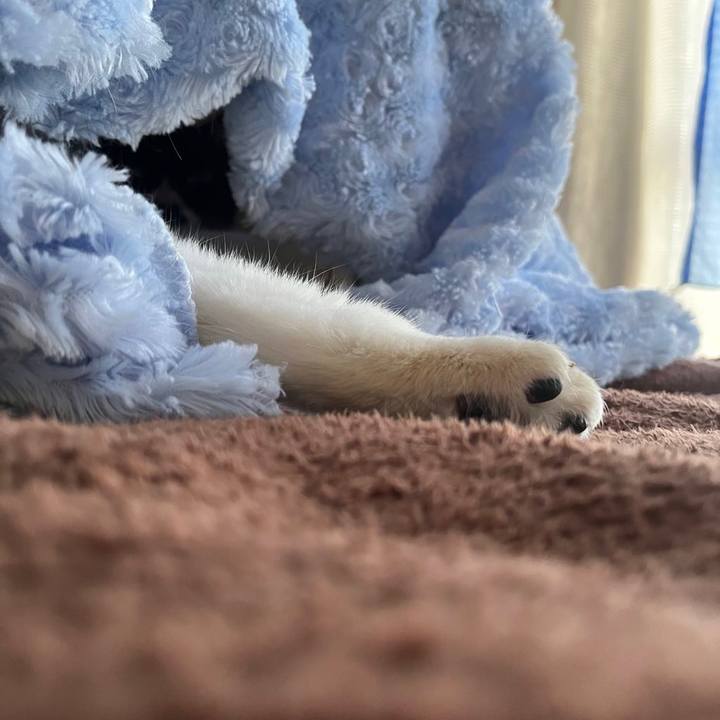 047a3c14 6447 4288 aca7 dbb749aa5be0 1665447074261