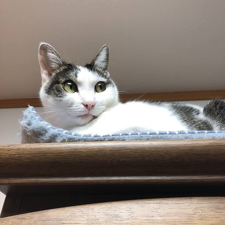 047a937d 0961 4064 b56d a3d37507f0fe 1667519526447