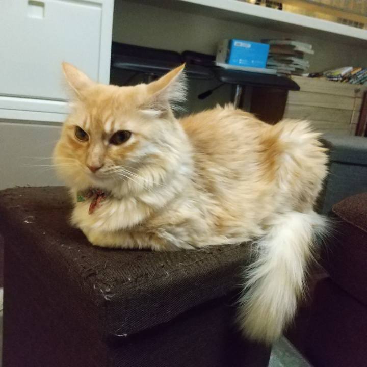 047adb2a 5ea9 4fd9 8f5a 23b4a625f1dc 1641999149236