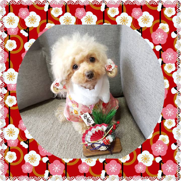 047b3f11 fc75 4e09 8528 e1de4a847f30 1578289687570