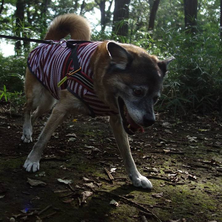 047b56fc ee54 4fba 91a6 6c52afe63bb9 1567901363111