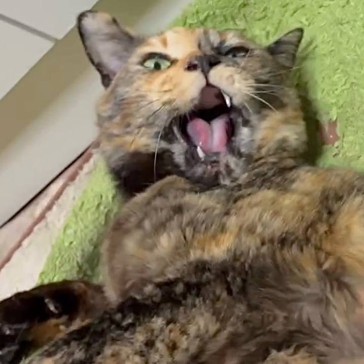 047b681e 6a75 4875 a8cb 883684d3a558 1773002474600