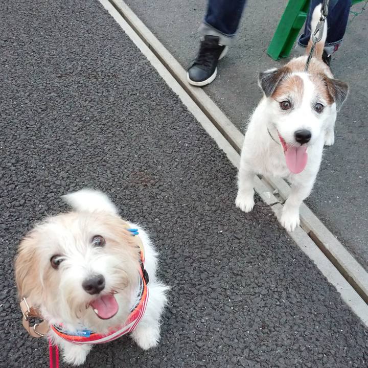 047b8fe1 2621 48ad b3bb 55a90744cfeb 1757842637718