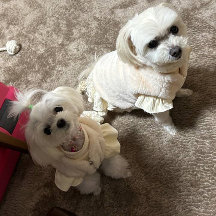 047bc58f bf68 4524 b9a2 ed02b27edf48 1737709798390