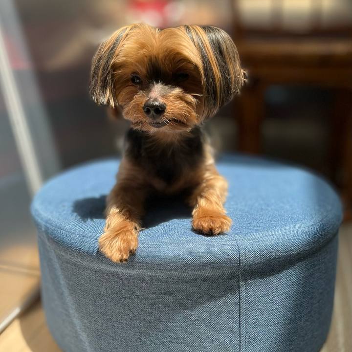 047bc70c 4fae 4dd4 af6a 0e862ca0ab78 1657421907863