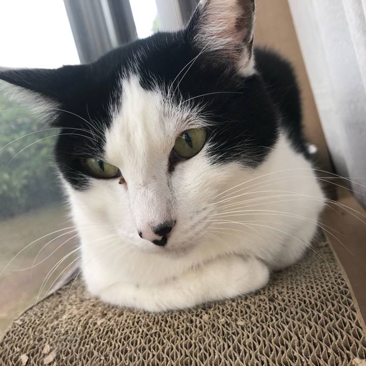 047bfe05 8efe 47a4 8d8d 29e5e84f49c9 1587677461627