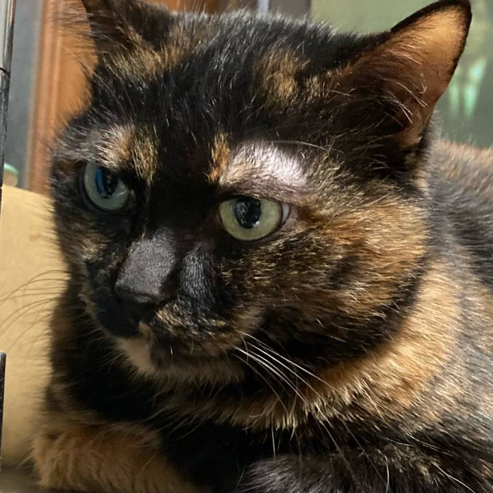 047c23b6 9775 416a 8717 c4416b3cd79b 1642078502527