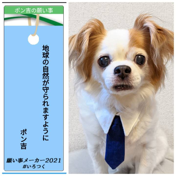 047c4f04 c97b 4342 b9a0 ac3a4438f15b 1625702188704