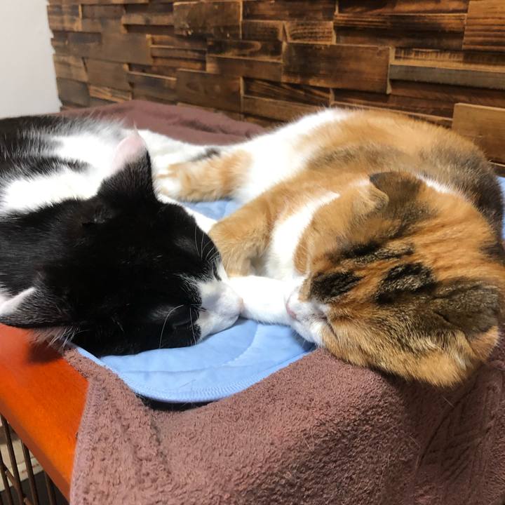 047c6f59 27b0 4529 aeb7 5c06fe46bdf5 1625926753860