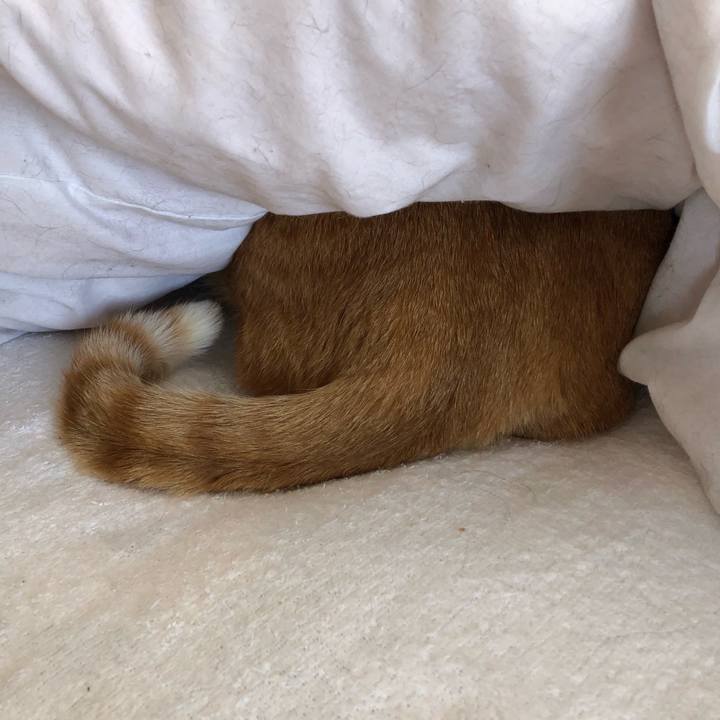 047c75d5 70b9 4676 9530 cdf495cb4b71 1615604566740