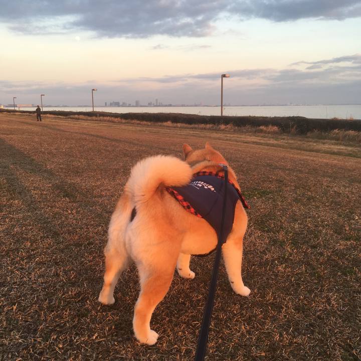 047c99b0 b3d9 4722 ad3e 85652070dd91 1545382588990