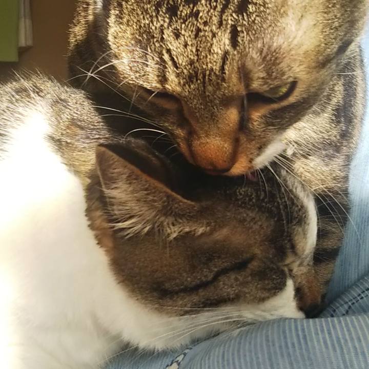 047cc6a4 a3a0 44b3 a45c 289cad25b763 1606796998008