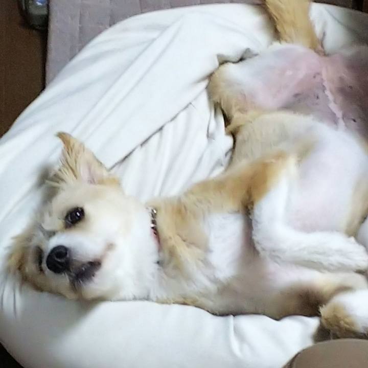 047cf990 961d 4c80 8380 807ea71df6e4 1535986553480