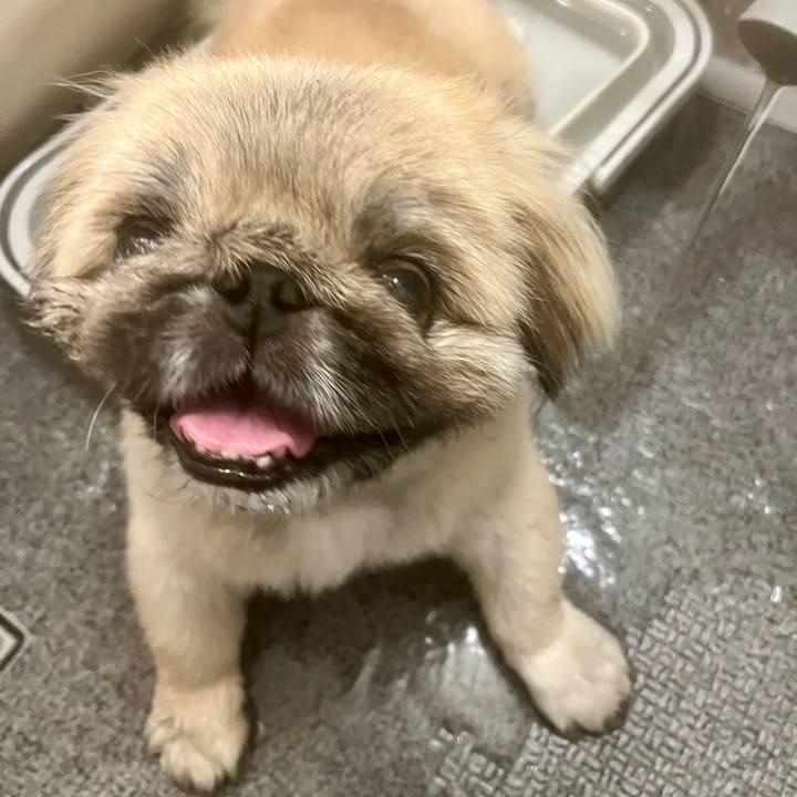 047cfc8f 1663 4160 9965 93e670a87b8b 1720524040563