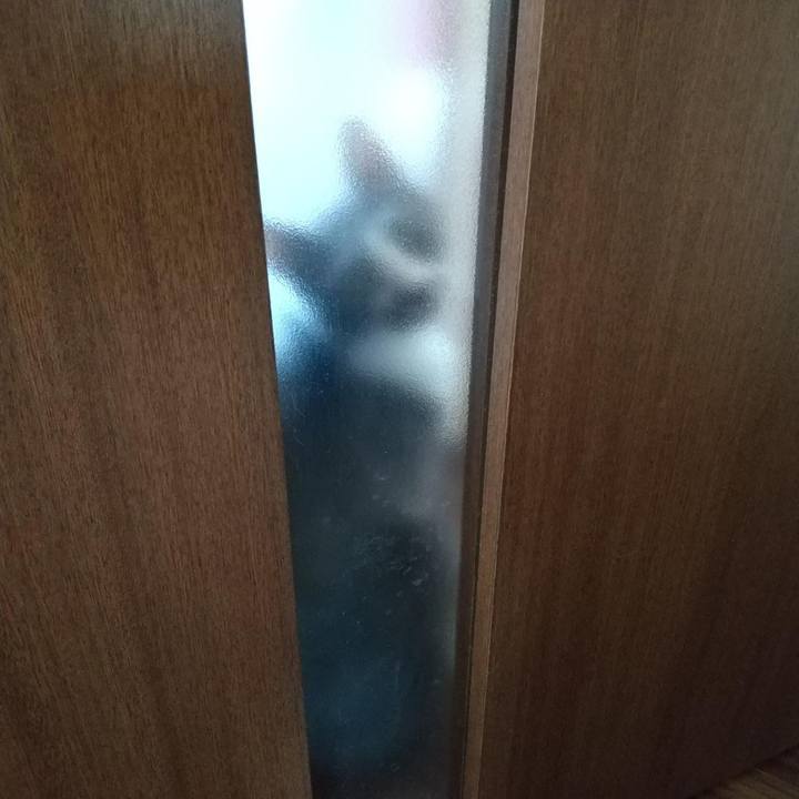 047d1de7 1ce5 4dfa 83b2 f5e99be523db 1598707765262