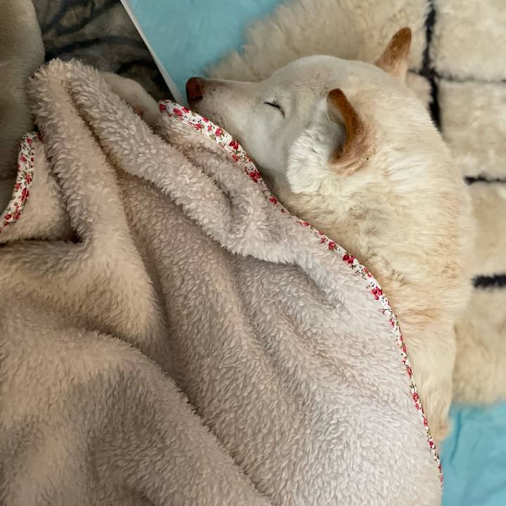 047d1f25 20ee 45da ab62 97c71a6c9957 1648614364049