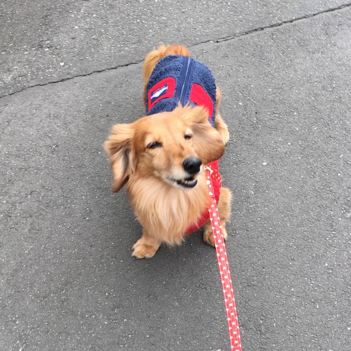 047d227c f932 4637 b176 55416650c8e3 1614345969301