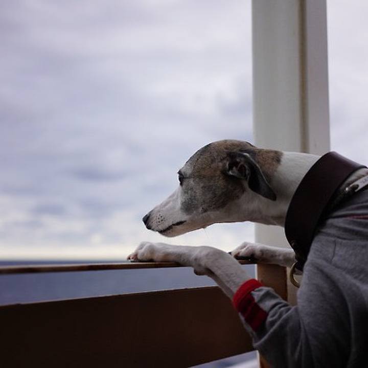 047d2960 9c5b 4af5 93dc 5d533592600b 1541416859602