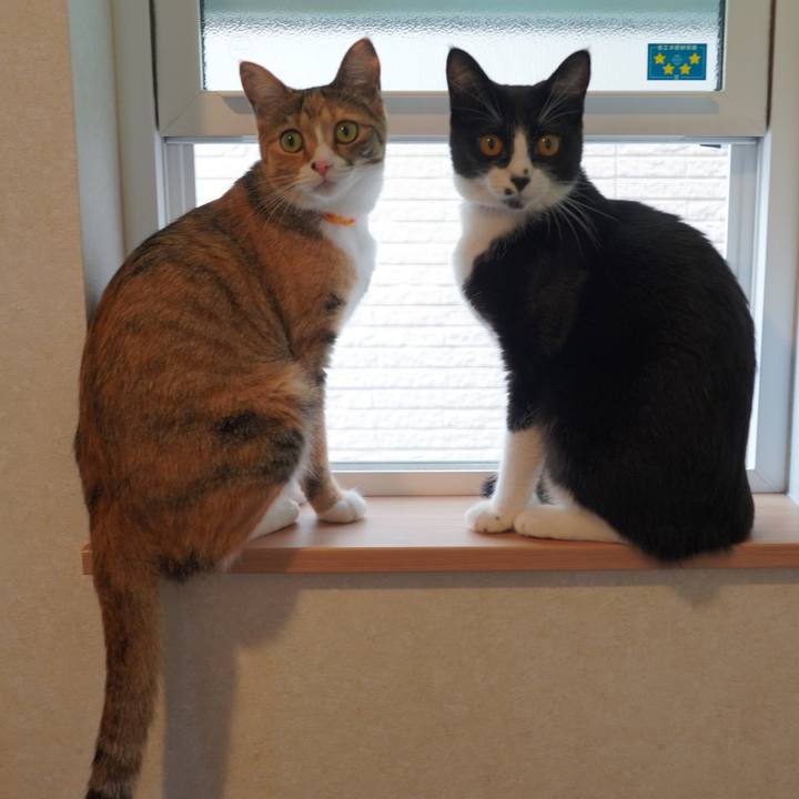 047d2e85 9496 44b0 b638 7976ea23c743 1592454380001