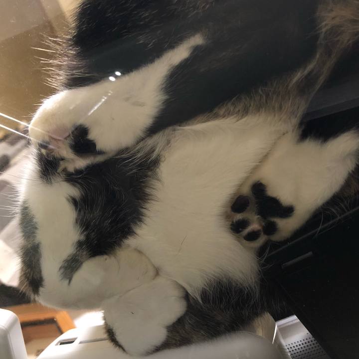 047d4b1e bbf6 4fc0 bbee 7dc411e25067 1545657839972