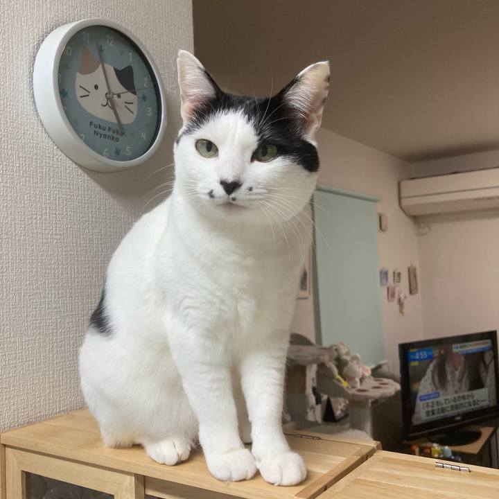 047dbbdf 394e 4999 99ff f4c5112f064a 1766692545573