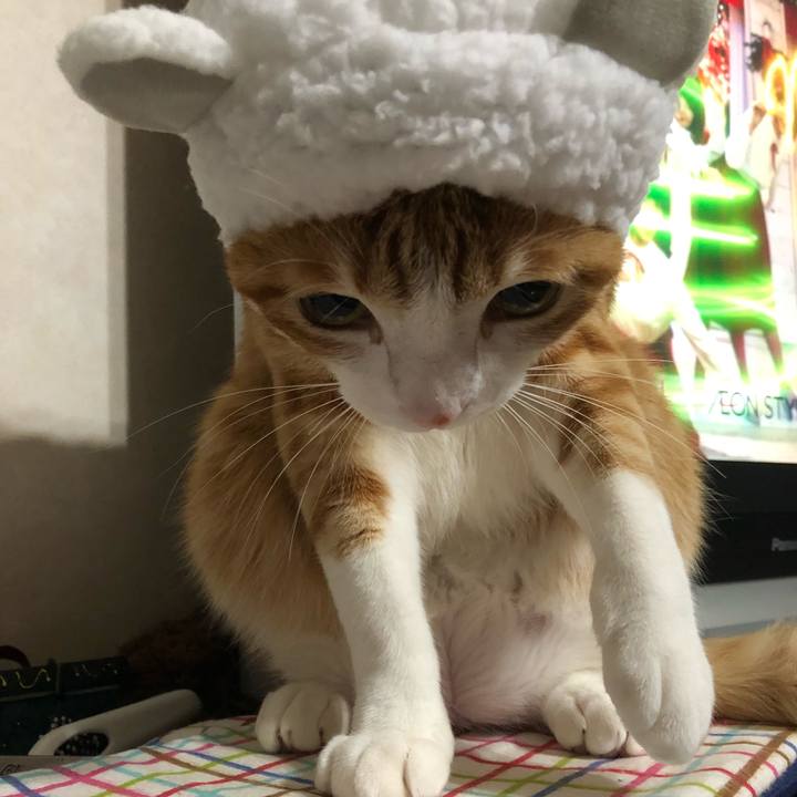 047ddb44 23f5 4fbb b604 9ed9a27f57a4 1513773358740