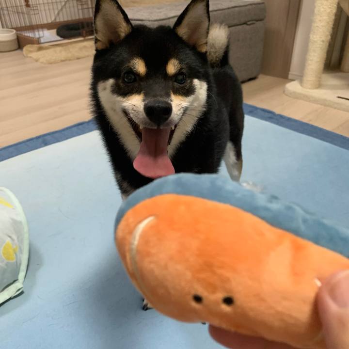 047de882 be23 49b6 8561 b5e998ef7efc 1631532482173