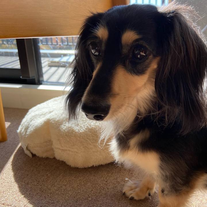 047de8da 1839 46c4 a8ce df2a70064269 1764118566726