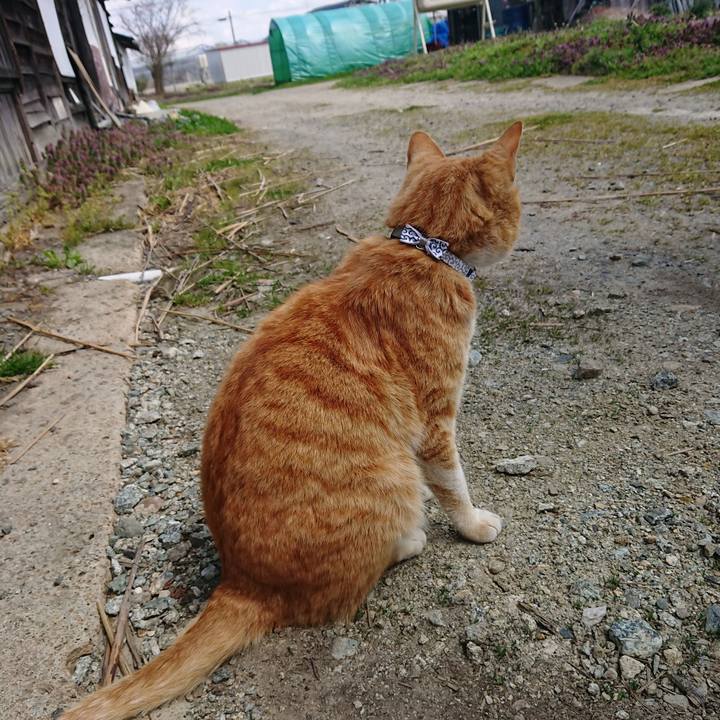 047e10fa c3f2 4d40 9621 afc44c4ac977 1587013253958